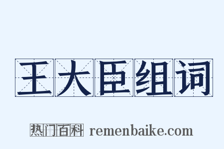 王大臣组词是什么意思的图片